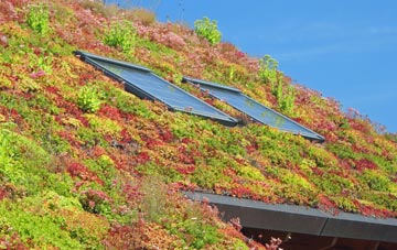Brandon Creek living roof systems