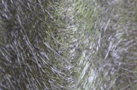 Brandon Creek fibreglass roof work